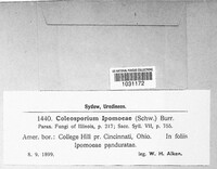 Image Associated With the Occurence